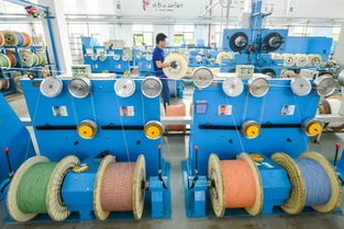 搶抓機遇賦能未來 浙江如何打開5G商用藍海